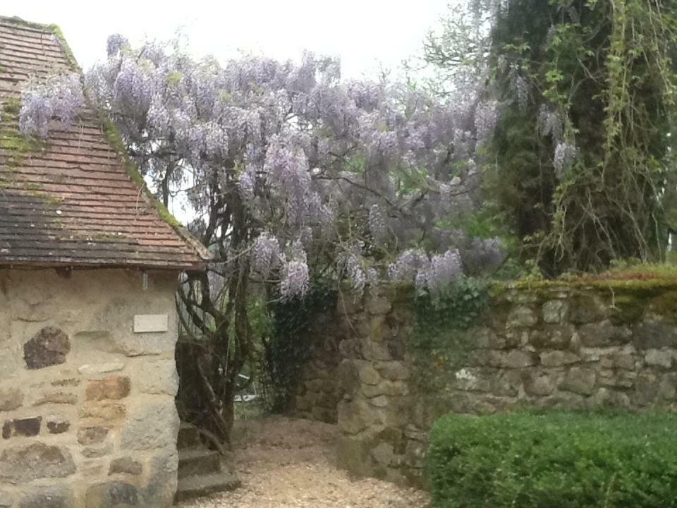 Domaine De Sautou Castanet (Tarn) Bagian luar foto